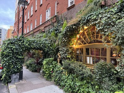 Restaurant entrance covered in lush green ivy and climbing plants, arched golden glowing window with decorative glazing, warm twilight atmosphere
